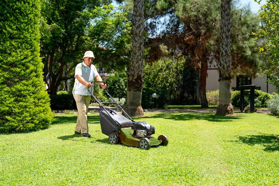 electric cordless push mower